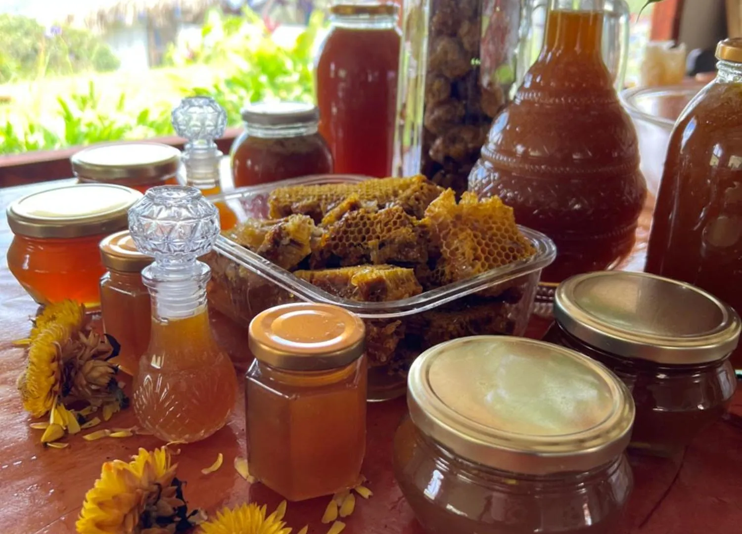 Madre Cocoon Retreats Hotel Santa Elena  Guest house