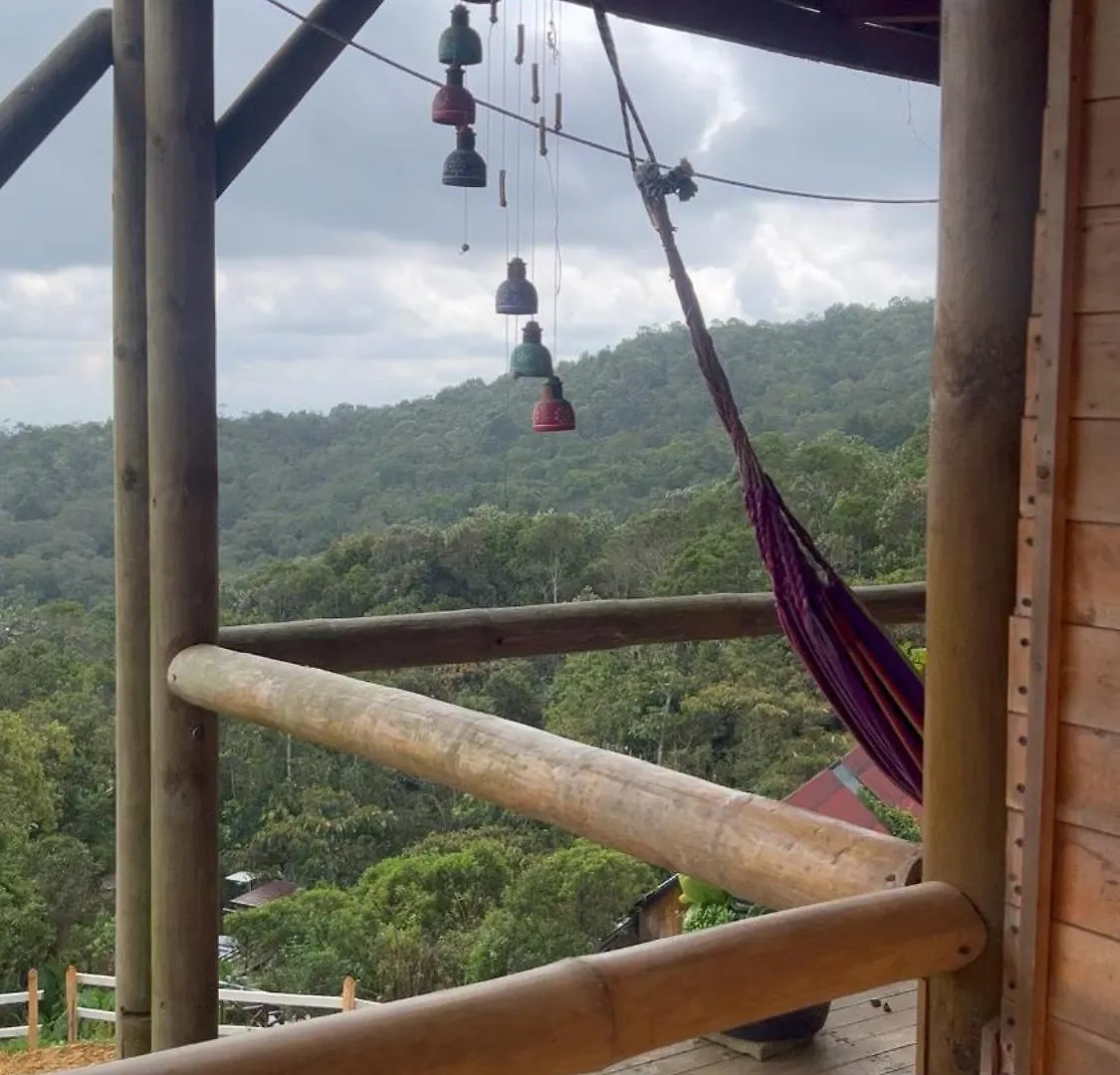 Madre Cocoon Retreats Hotel Santa Elena  0*, Santa Elena (Antioquia)